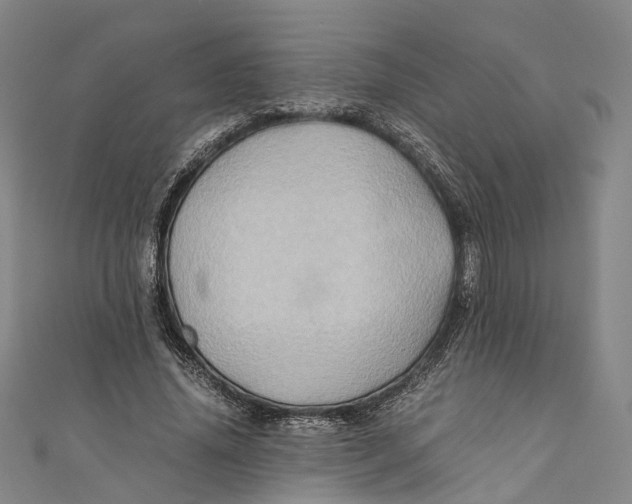 X0000110970636200907101349