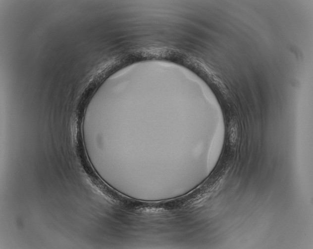 X0000110970637200907101349