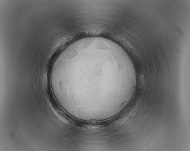 X0000110970638200907101349