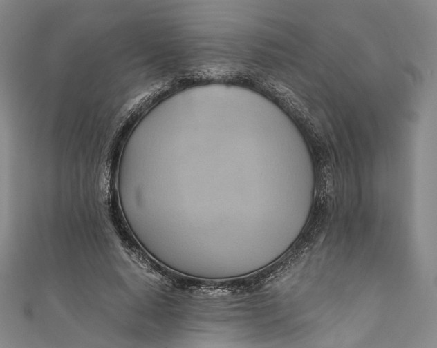 X0000110970640200907101349