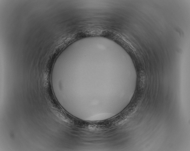 X0000110970641200907101349