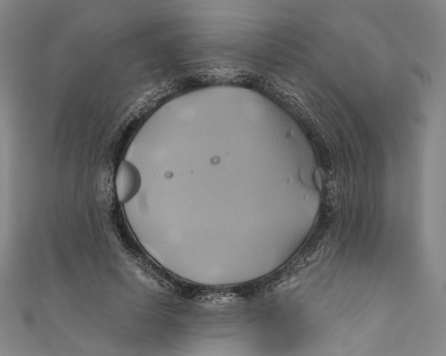 X0000110970642200907101349