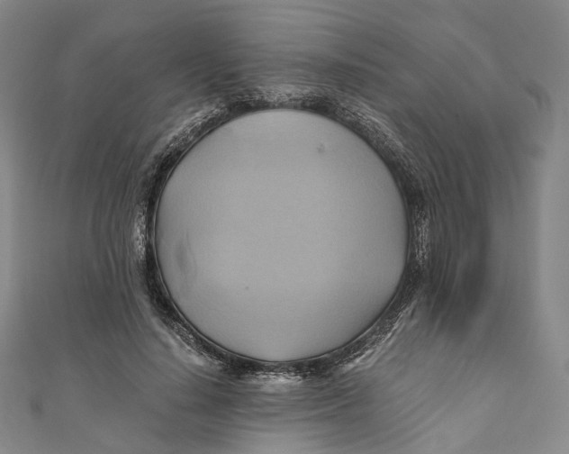 X0000110970644200907101349