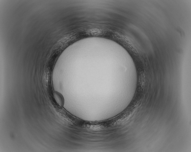 X0000110970645200907101349