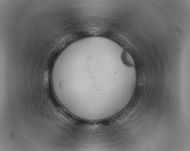 X0000110970646200907101349