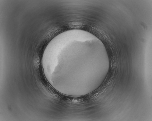 X0000110970647200907101349