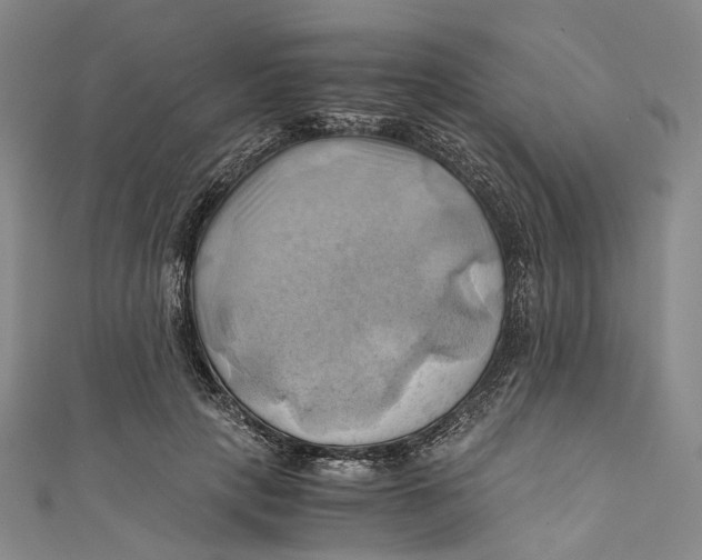 X0000110970649200907101349