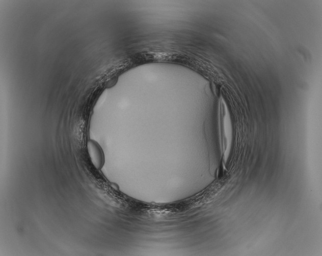 X0000110970650200907101349