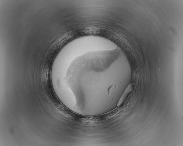 X0000110970652200907101349