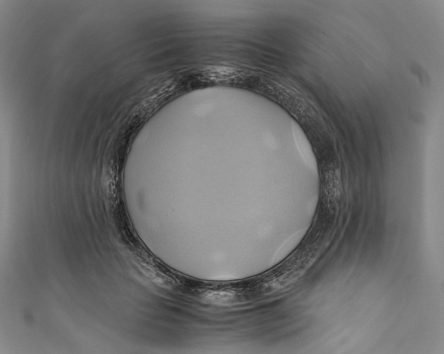 X0000110970653200907101349