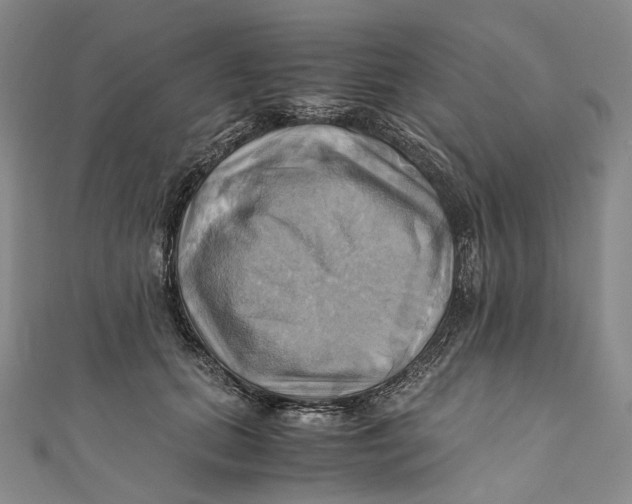 X0000110970655200907101349