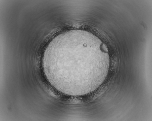 X0000110970656200907101350