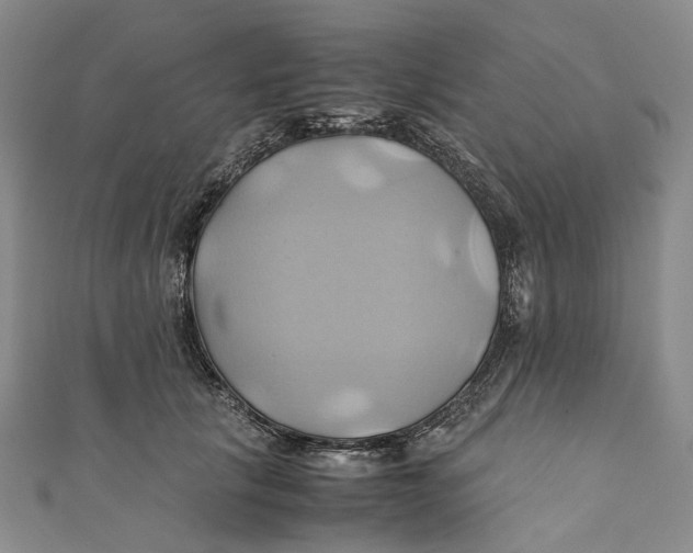 X0000110970657200907101350