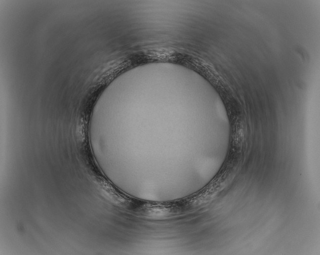 X0000110970658200907101350