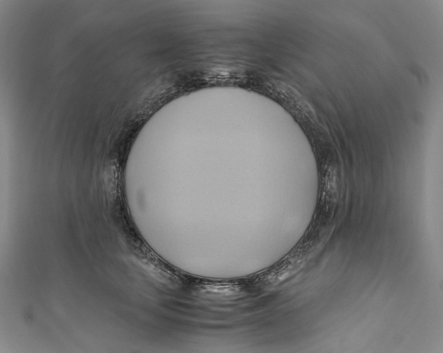 X0000110970659200907101350