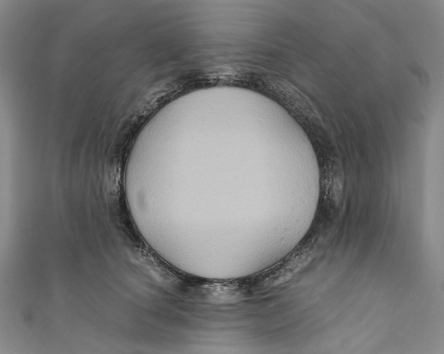 X0000110970660200907101350