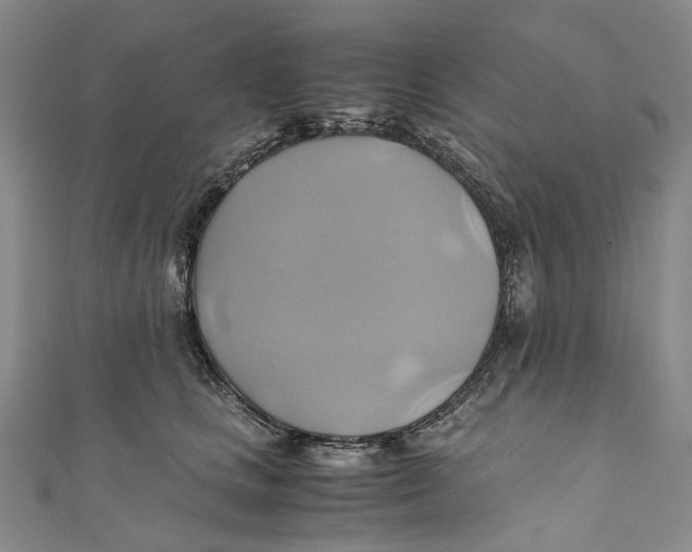 X0000110970661200907101350