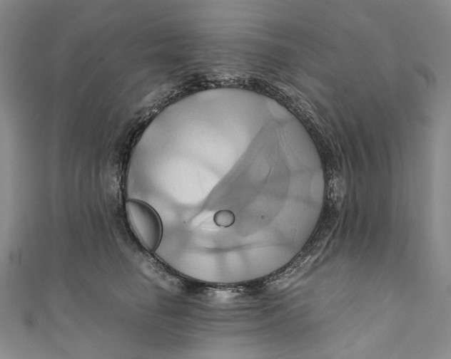 X0000110970662200907101350