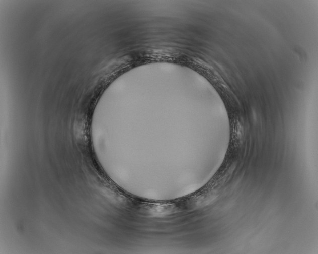 X0000110970663200907101350