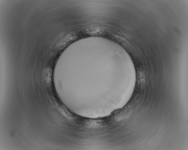 X0000110970664200907101350