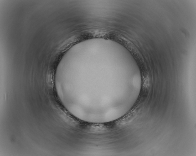 X0000110970666200907101350