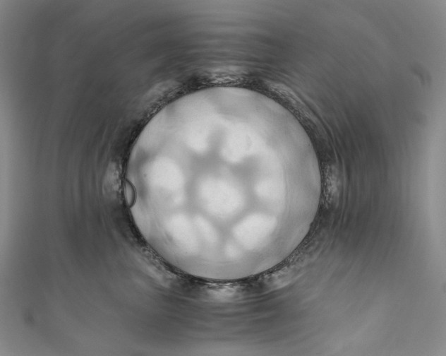 X0000110970667200907101350