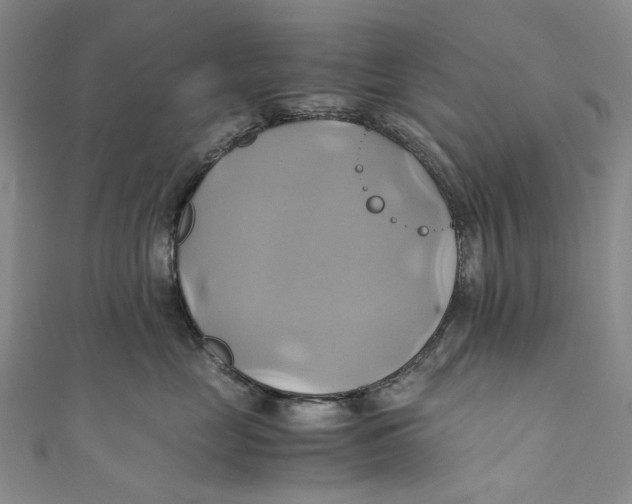 X0000110970669200907101350