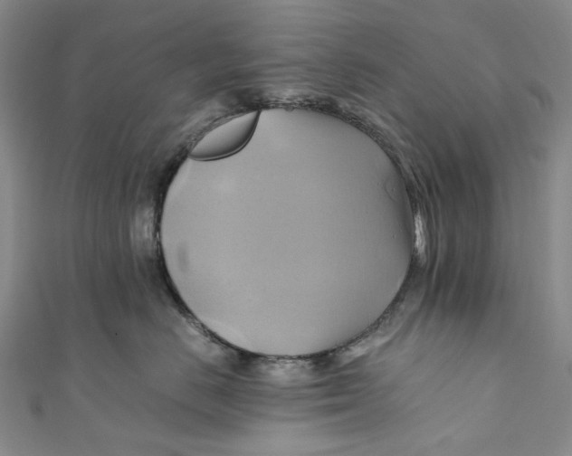 X0000110970670200907101350