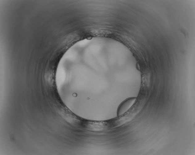 X0000110970671200907101350