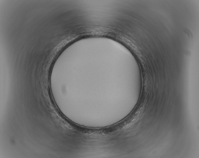 X0000110970673200907101349