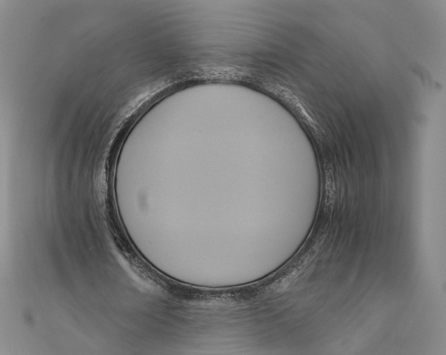 X0000110970674200907101349