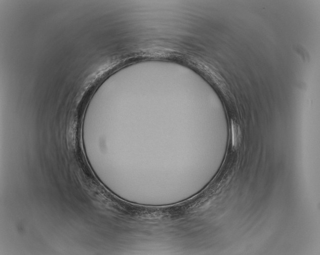 X0000110970675200907101349