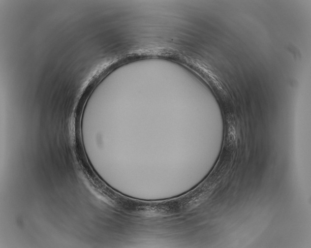 X0000110970678200907101349