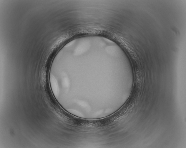 X0000110970679200907101349