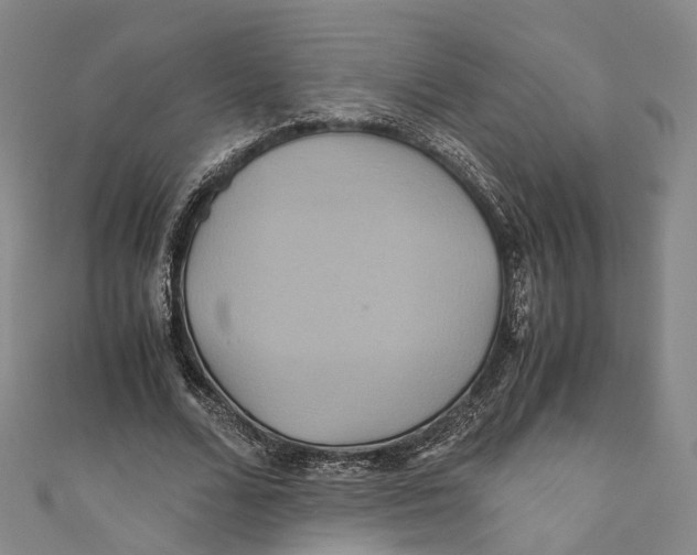 X0000110970680200907101349