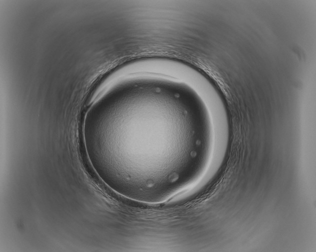 X0000110970681200907101349