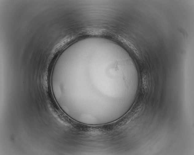 X0000110970682200907101349