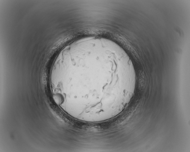 X0000110970683200907101349