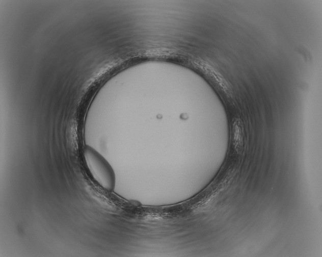 X0000110970684200907101349