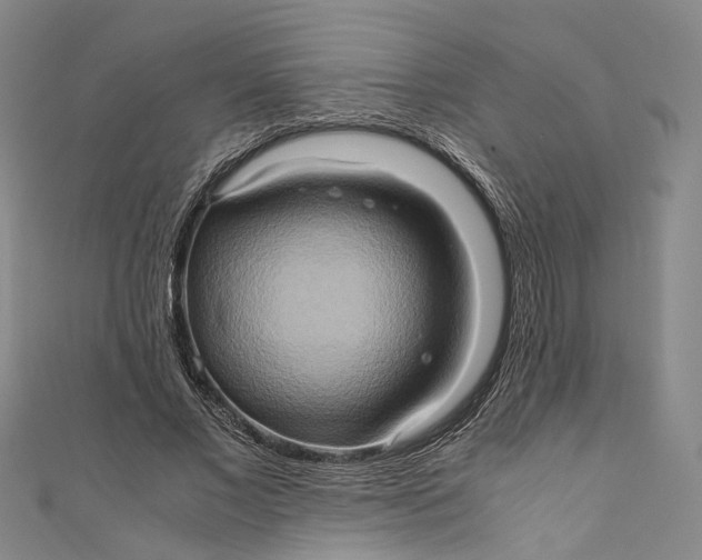 X0000110970685200907101349