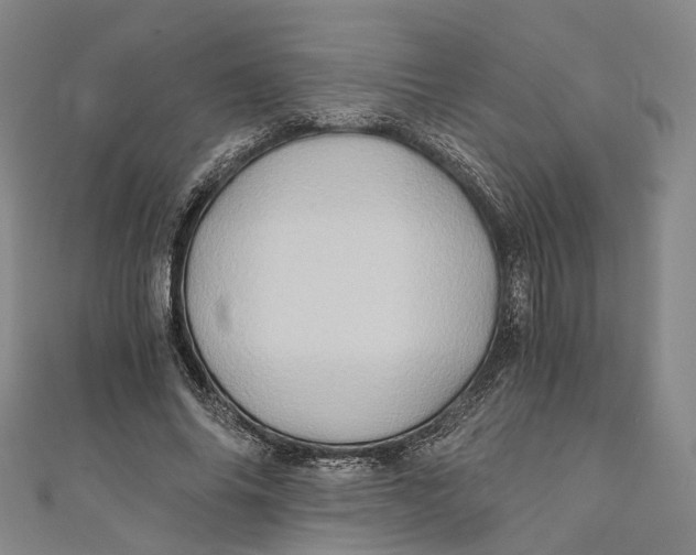 X0000110970686200907101349