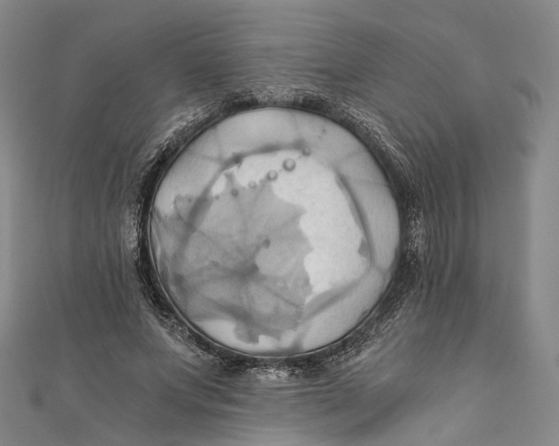 X0000110970687200907101349