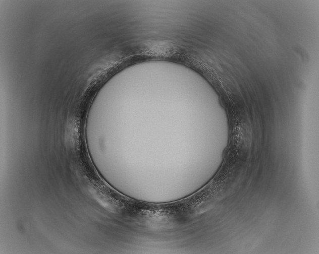 X0000110970688200907101349