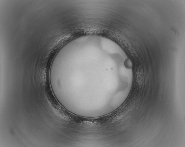 X0000110970690200907101349