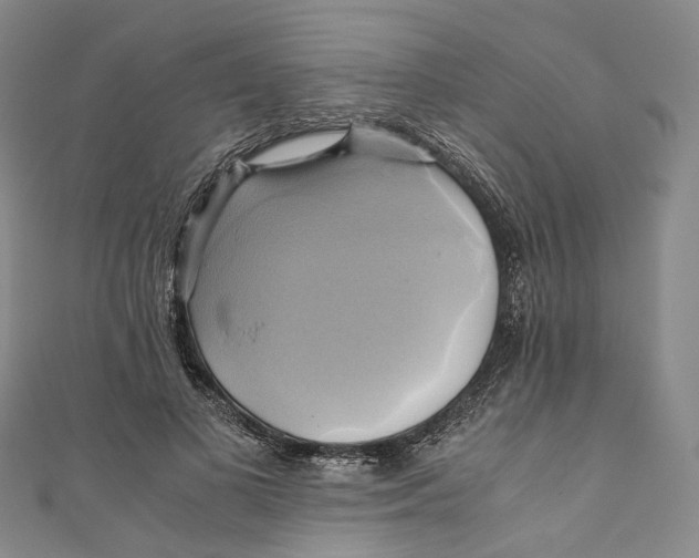 X0000110970693200907101349