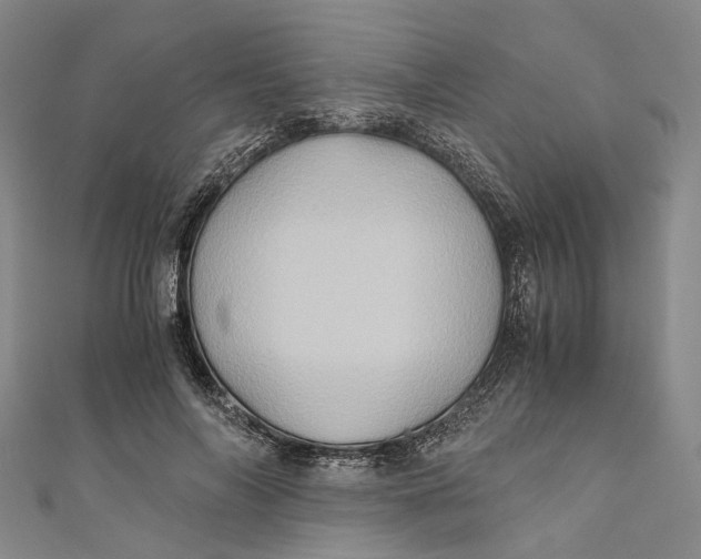 X0000110970694200907101349