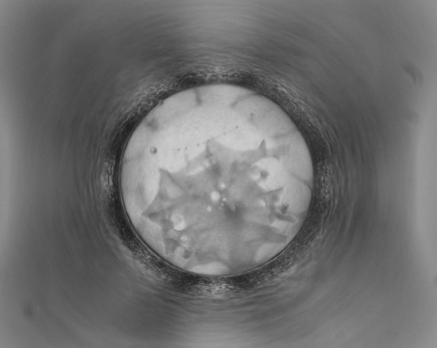 X0000110970695200907101349