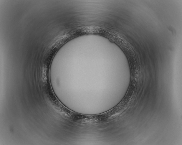 X0000110970696200907101349