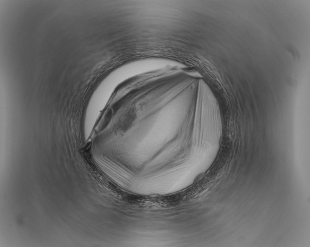 X0000110970697200907101349