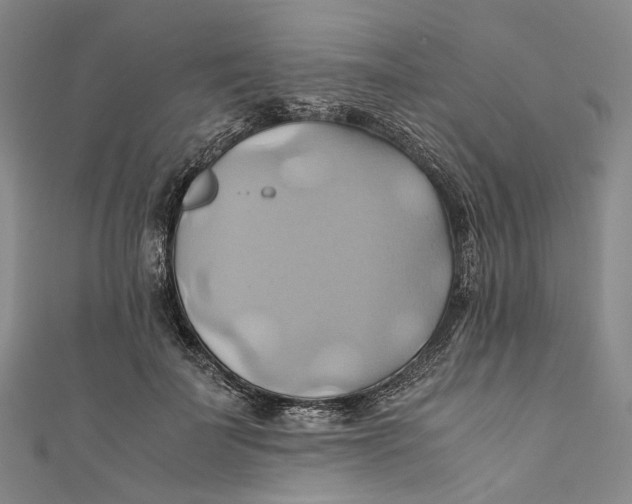 X0000110970699200907101349